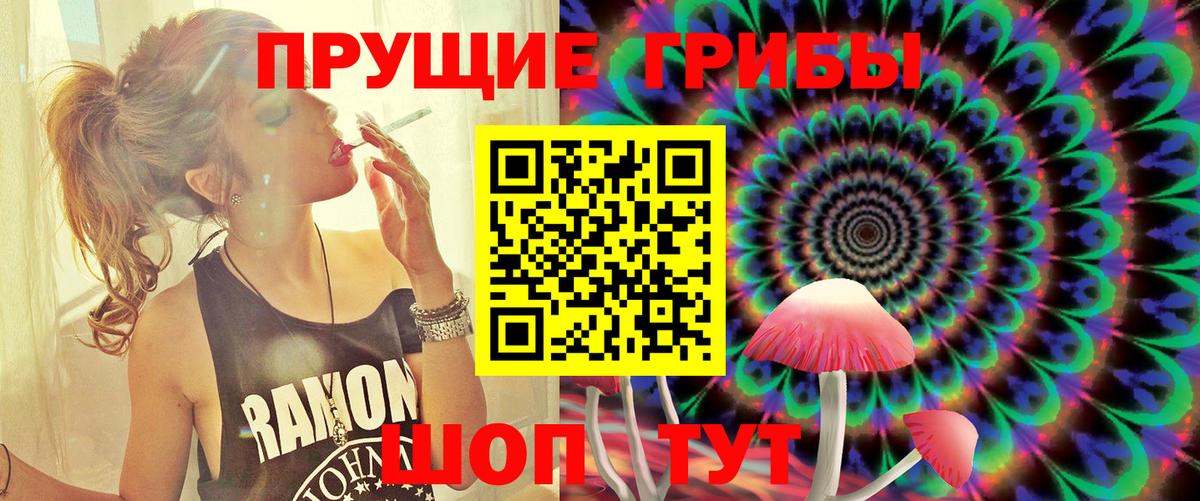 Псилоцибиновые грибы Magic Shrooms  Вход с VPN  Псилоцибиновые грибы прущие грибы  цены наркотик  Тара 