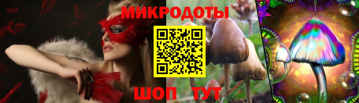 Галлюциногенные грибы Cubensis Тара
